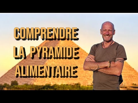 Comprendre la Pyramide Alimentaire