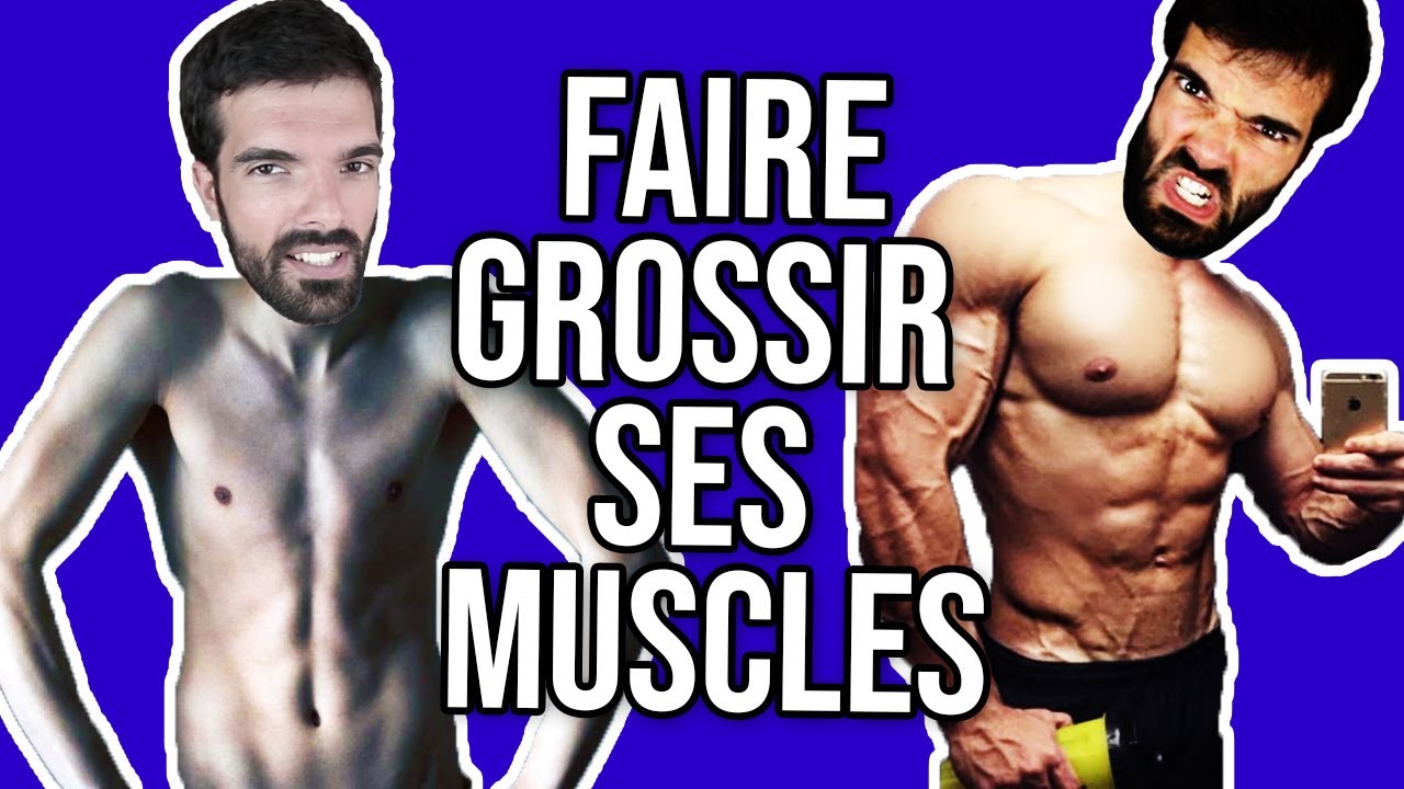 COMMENT LES MUSCLES GROSSISSENT