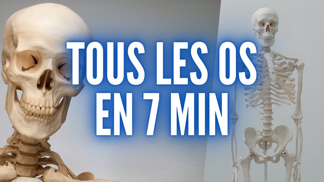 TOUS LES OS DU CORPS HUMAIN EN 7 MIN