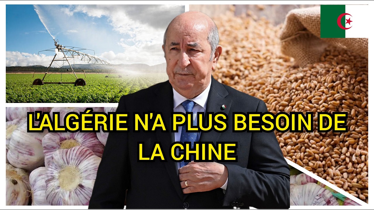 1,6 millions de quintaux : comment l'Algérie réduit sa dépendance à la chine
