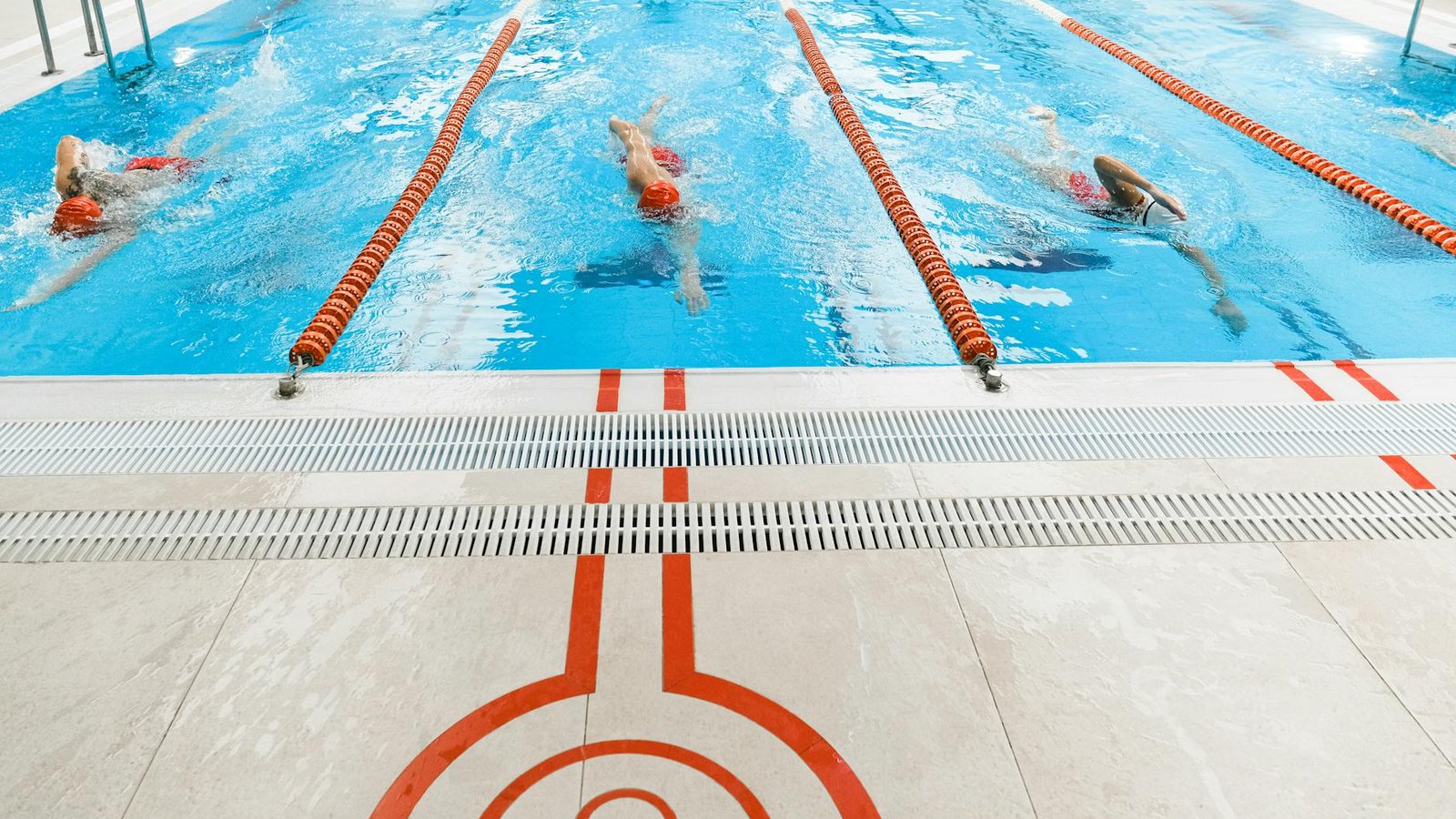 Natation