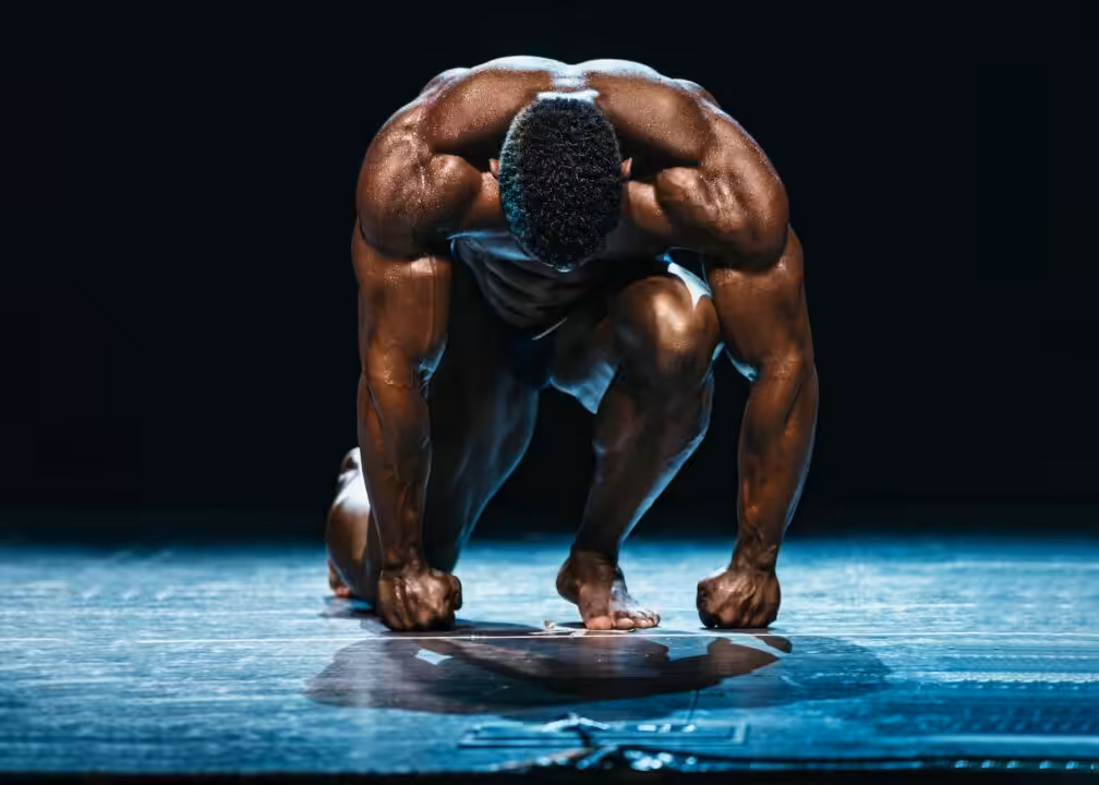 Combien de muscles compte le corps humain : la réponse précise en chiffres